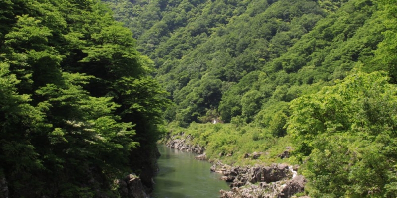 赤芝峡 山形県小国町 白い森まるごとブランドポータルサイト 赤芝峡 山形県小国町 白い森まるごとブランドポータルサイト