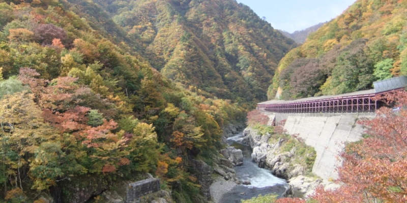 赤芝峡 山形県小国町 白い森まるごとブランドポータルサイト 赤芝峡 山形県小国町 白い森まるごとブランドポータルサイト