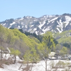 オンライン移住相談の受付を開始しました