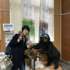 緑のふるさと協力隊の千田有実子です