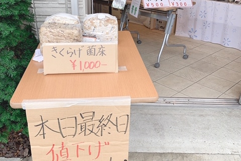 ふるさと交流ショップ台東 本日最終日です!