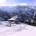【日程変更】白い森スノーフェスティバル開催！