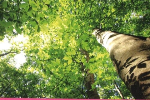 温身平(ぬくみだいら)セラピー基地 ミニツアー最終日のお知らせ!