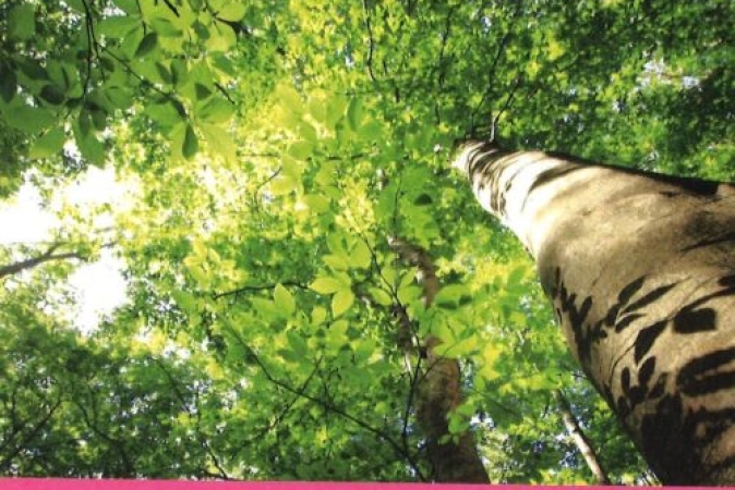 温身平(ぬくみだいら)セラピー基地 ミニツアー最終日のお知らせ!