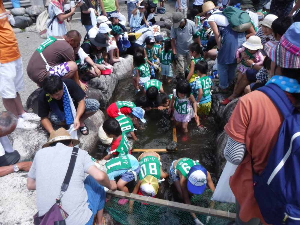 魚のつかみ取り3